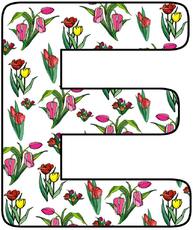 Tulpen-Buchstabe-E.jpg